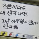 Holly Molly 네이버블로그