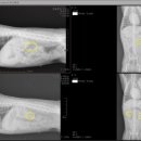 동물병원닥터스 이미지