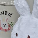 대전 키즈풀 토끼풀