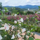 무궁화100리길 이미지