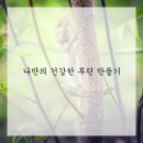 어라운드짐 네이버블로그