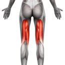 유성PT 용쓰짐 헬스장 이미지