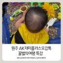 [겨울 특강] 꼼지락 꼼지락 재미있는 미니어쳐 | [재미플러스오감톡] 원주 AK 문화센터 | 가을학기 오감톡 꿀벌의 여행 (5-12개월) | 특강 후기