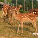 경인농장2 이미지