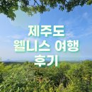 제주도 서귀포 웰니스 프리미엄 여행 후기