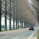 곡성-169 이미지