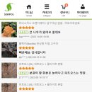 예진식물원