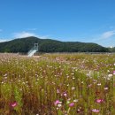 호수정원 이미지