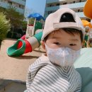 카페시율 이미지
