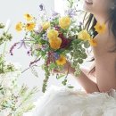 오성진 | 살아봐도 되잖아 2탄(포스팅 하려고 벼르고 있었다 마리 스튜디오 오성진 대표님 올데이 촬영 후기)