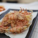독도회센타 네이버블로그