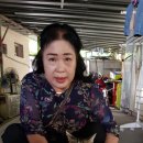 미미 (美美) 이미지