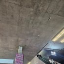 킹스할인마트 | 일기 - 3일차❤️💚 (서구룡문화지구, 홍콩예술박물관, k11뮤제아, 스타의거리, 심포니오브라이트, 킹스로지)