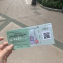 건곤돈테네 건강스토리 | 혼자서도 잘 가요, 에버랜드 혼놀 도전기’