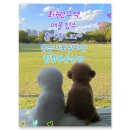 회원동290 이미지