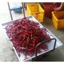 지후네 농장 이미지