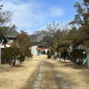 여주 마조렐글램핑리조트 | (내돈내숙) 힐링되는 여주 글램핑 마조렐글램핑리조트 강추!