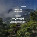 숲 | 가을이 시작되는 10월, 화담숲 후기(10/25)