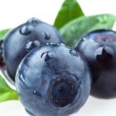 남광우농장 이미지