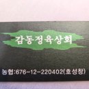 감동정육상회