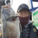 클럽씨피싱 - 홍성군 남당항로264번길 53-1 | 클럽씨피싱