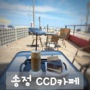 송정카페 CCD카페 부산 바다 보며 즐기는 디저트 맛집 추천