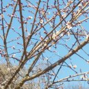 소망2농장 이미지