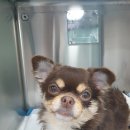 원스동물병원 이미지