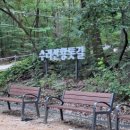 크라우드 PC 만성지구점 | 2026 수리산 맨발 걷기, 황토길이 '천연 백신'이라 불리는 과학적 이유