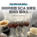 서울 강남 SCA브루잉 원데이 클래스 아야커피랩 핸드드립 1:1수업