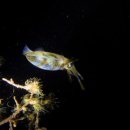 남해-262 이미지