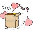 마로헤어 이미지