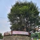 외장포경로당 이미지