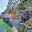 전진태양광발전소 이미지