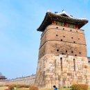 시민자전거대여소(화성행궁) | 국내 이색여행 베스트 🚲 뚜벅이 여행자 모엿! 전국 공영자전거 대여