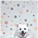 나니살롱 이미지