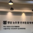 유명동물병원(출장전문) | 청담 눈초롱 안과동물병원 내돈내산 후기｜반려견 안과 진료 전문병원 추천