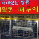 뼈대있는짬뽕 이미지