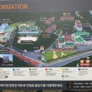 아이코리아새세대유치원 이미지