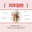 감일나무치과의원 이미지