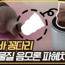 쭈쭈바 이미지
