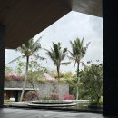 안개로가로수 | 발리 신혼여행 짐바란 아야나 리조트 2박 3일 후기(2일차_오전)