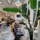 닛시헤어 이미지