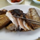 대원생선구이 Daum카페