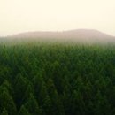 오피스제주 이미지