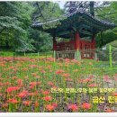 보석사 이미지