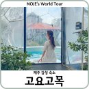 고요고목 돌집감성 풀빌라 스테이 | 제주 감성 숙소 추천 제주도 애월 독채 가족 펜션