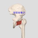 화목한의원 이미지