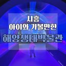 해양사자 | 시흥 해양생태과학관 후기｜예약, 주차, 바다사자 먹이주기까지 아이와 가볼만한곳