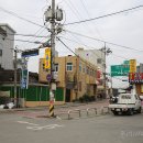명품김밥만두 이미지